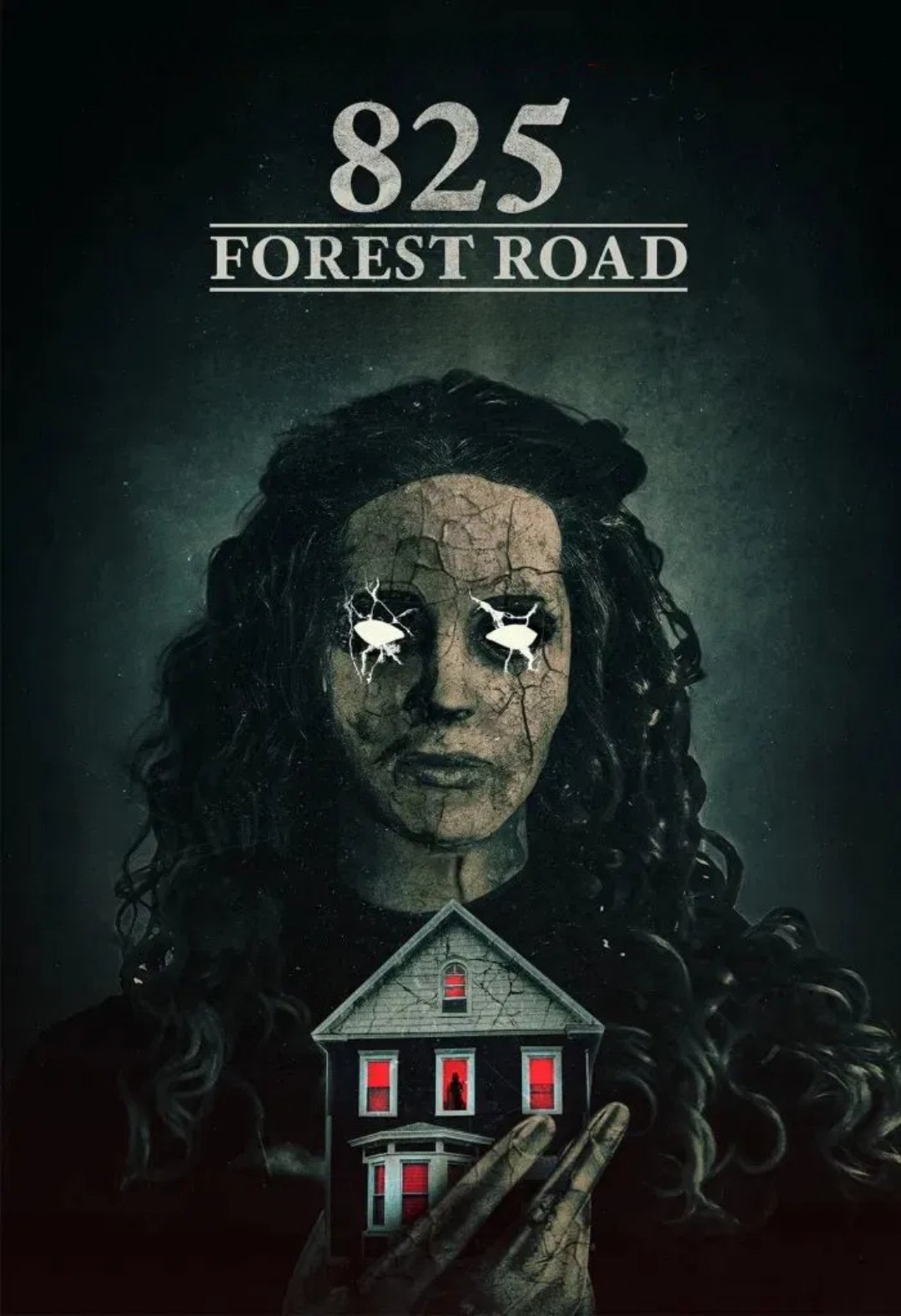 مشاهدة فيلم 825 Forest Road 2025 اون لاين