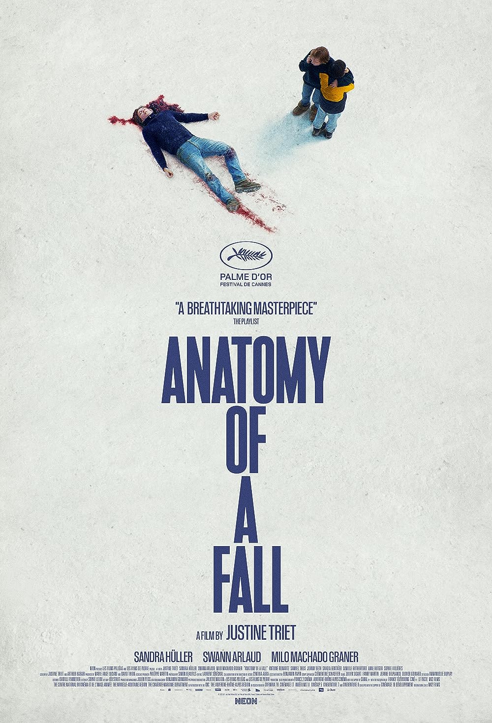 Anatomy of a Fall ( 2023 )
