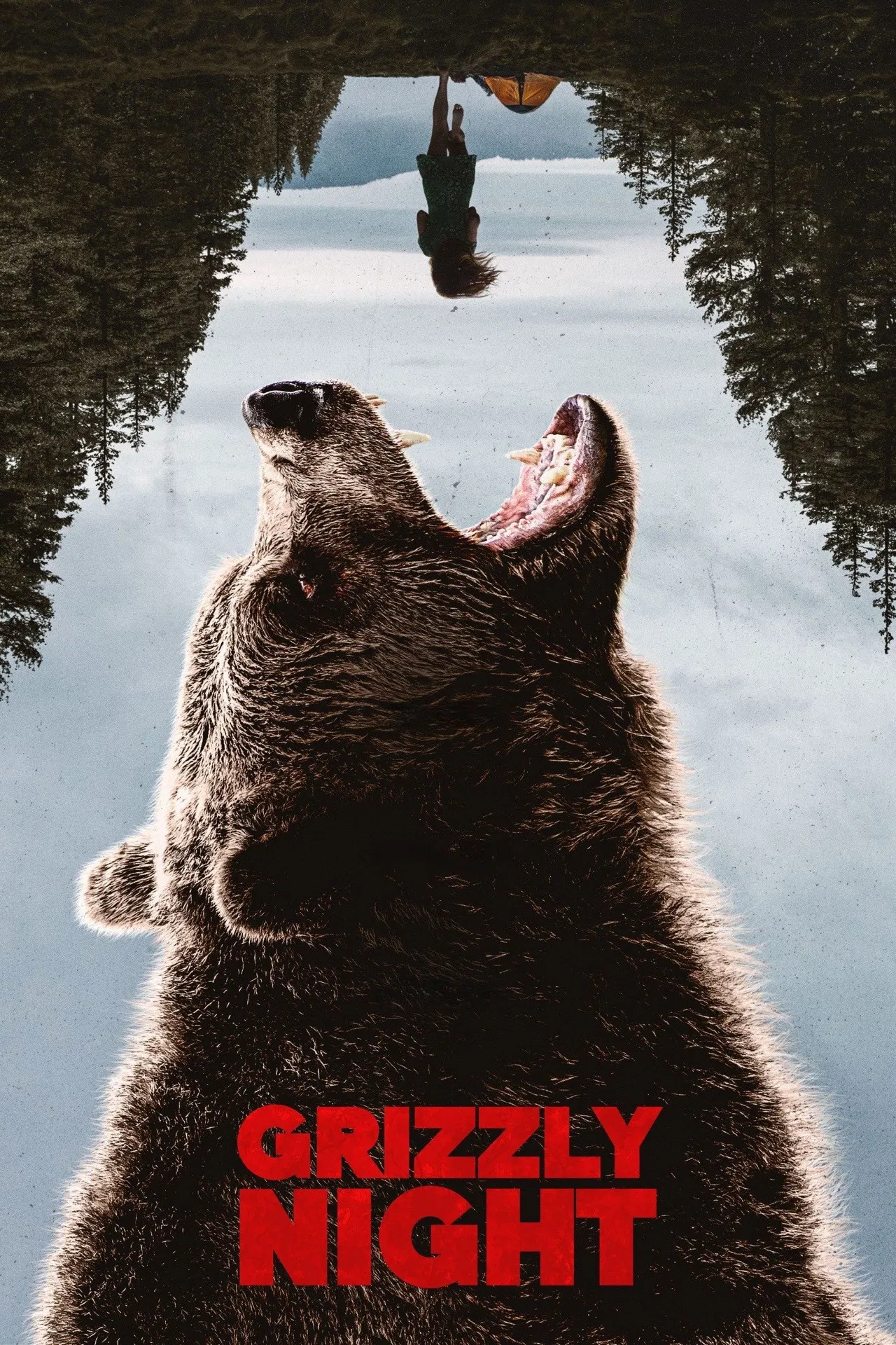 مشاهدة فيلم Grizzly Night 2026 اون لاين