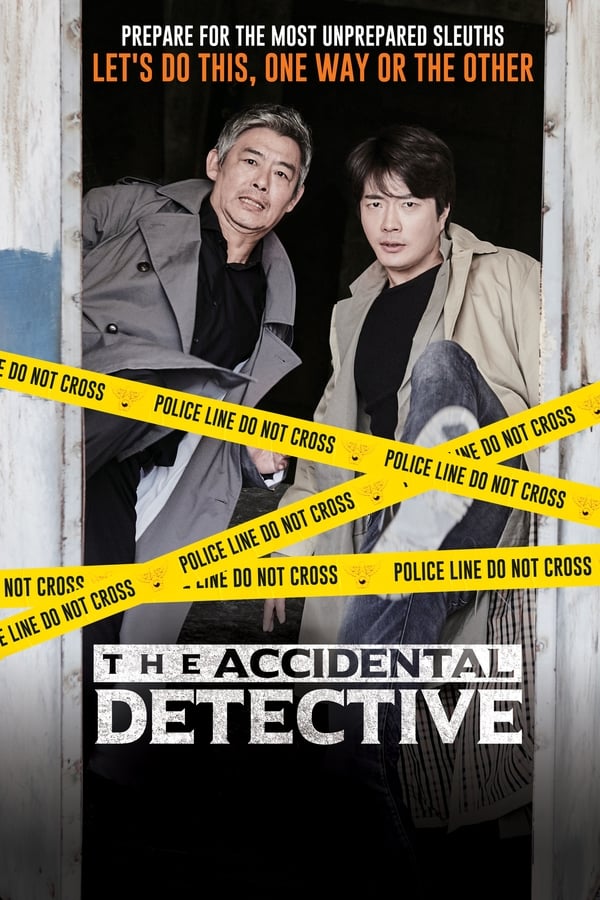 The Accidental Detective ( 2015 )