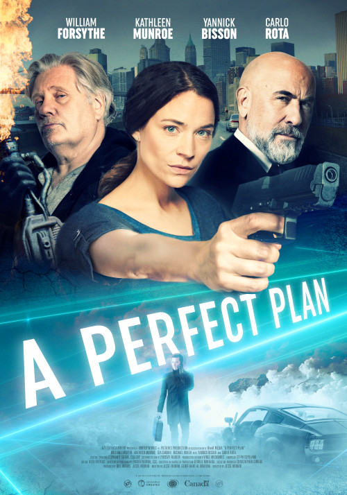 A Perfect Plan ( 2020 )