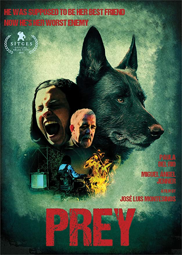 Cordes ( 2019 )