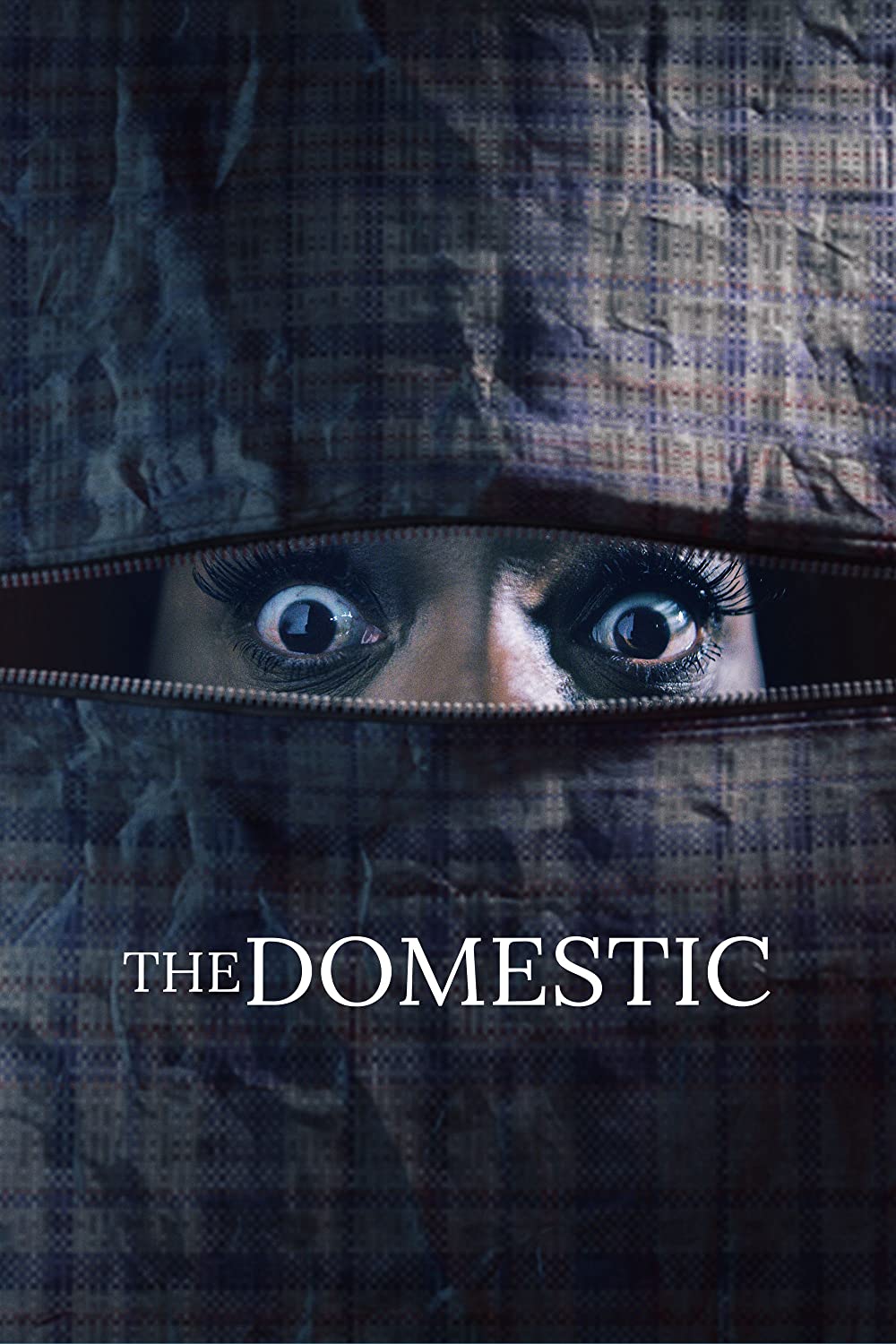 The Domestic ( 2022 )