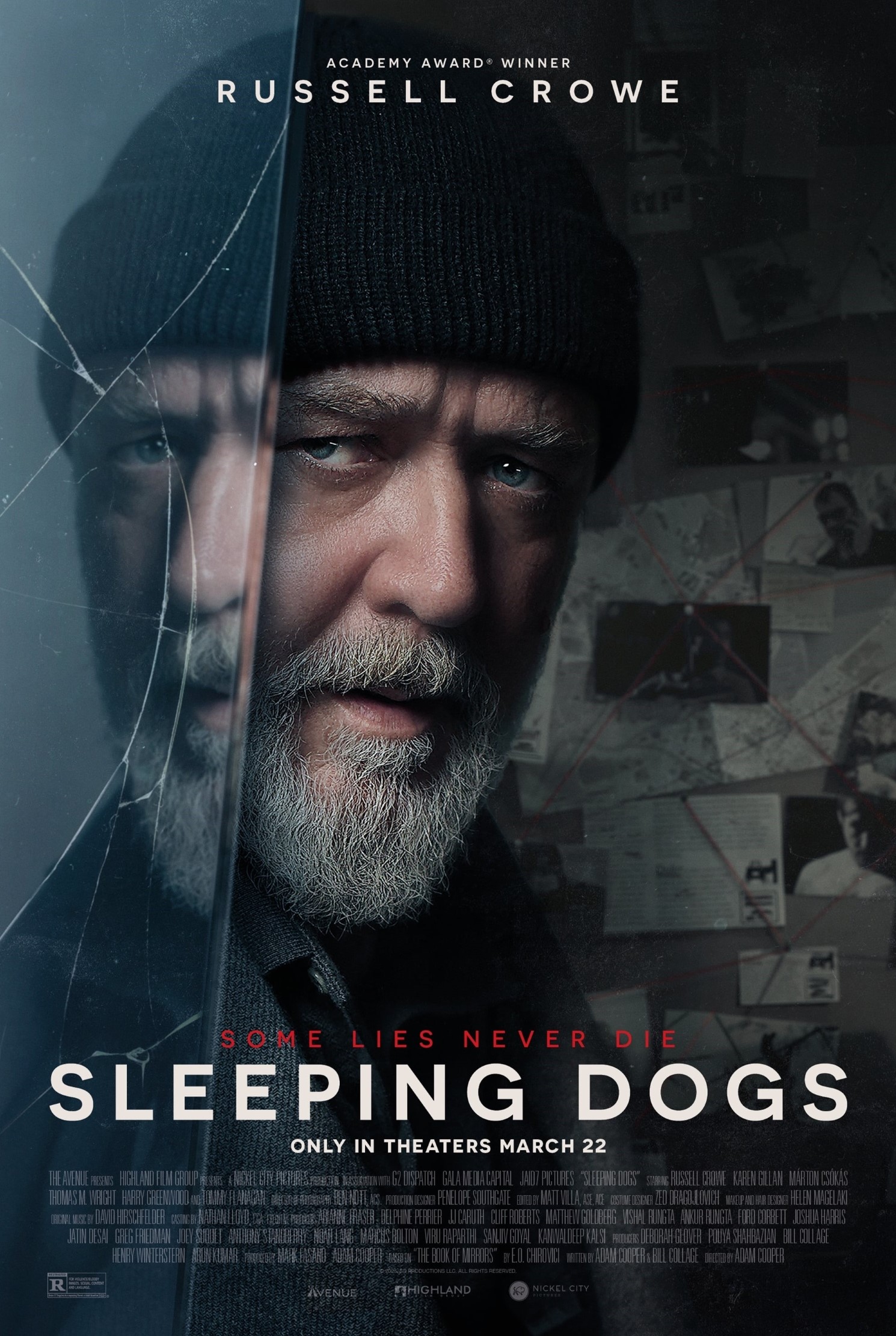 Sleeping Dogs ( 2024 )
