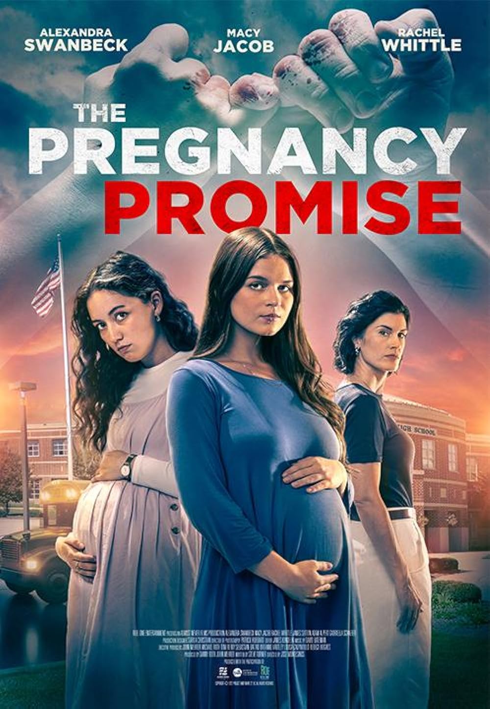 مشاهدة فيلم The Pregnancy Promise 2023 اون لاين