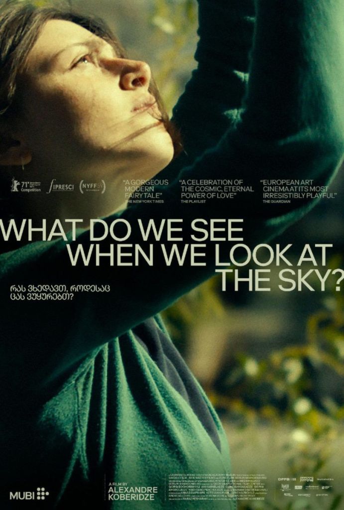 What Do We See When We Look at the Sky ( 2021 )