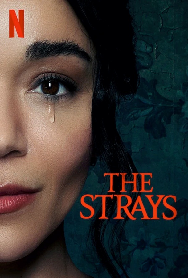 The Strays ( 2023 )