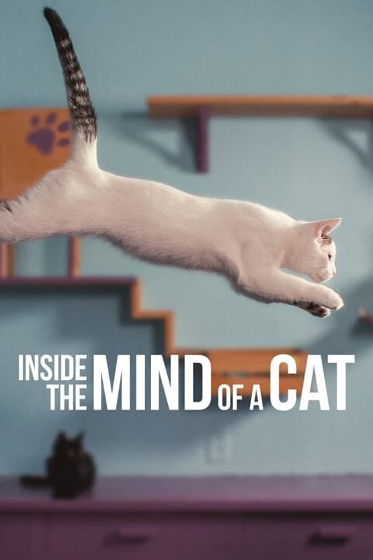 مشاهدة فيلم Inside the Mind of a Cat 2022 اون لاين