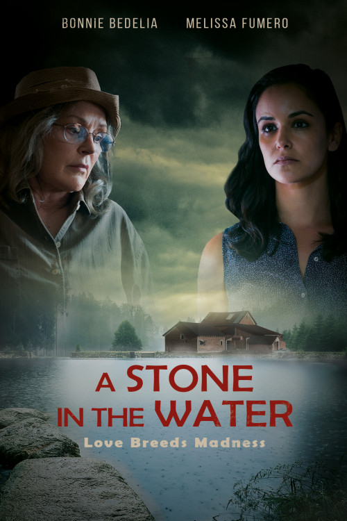 A Stone in the Water ( 2019 )