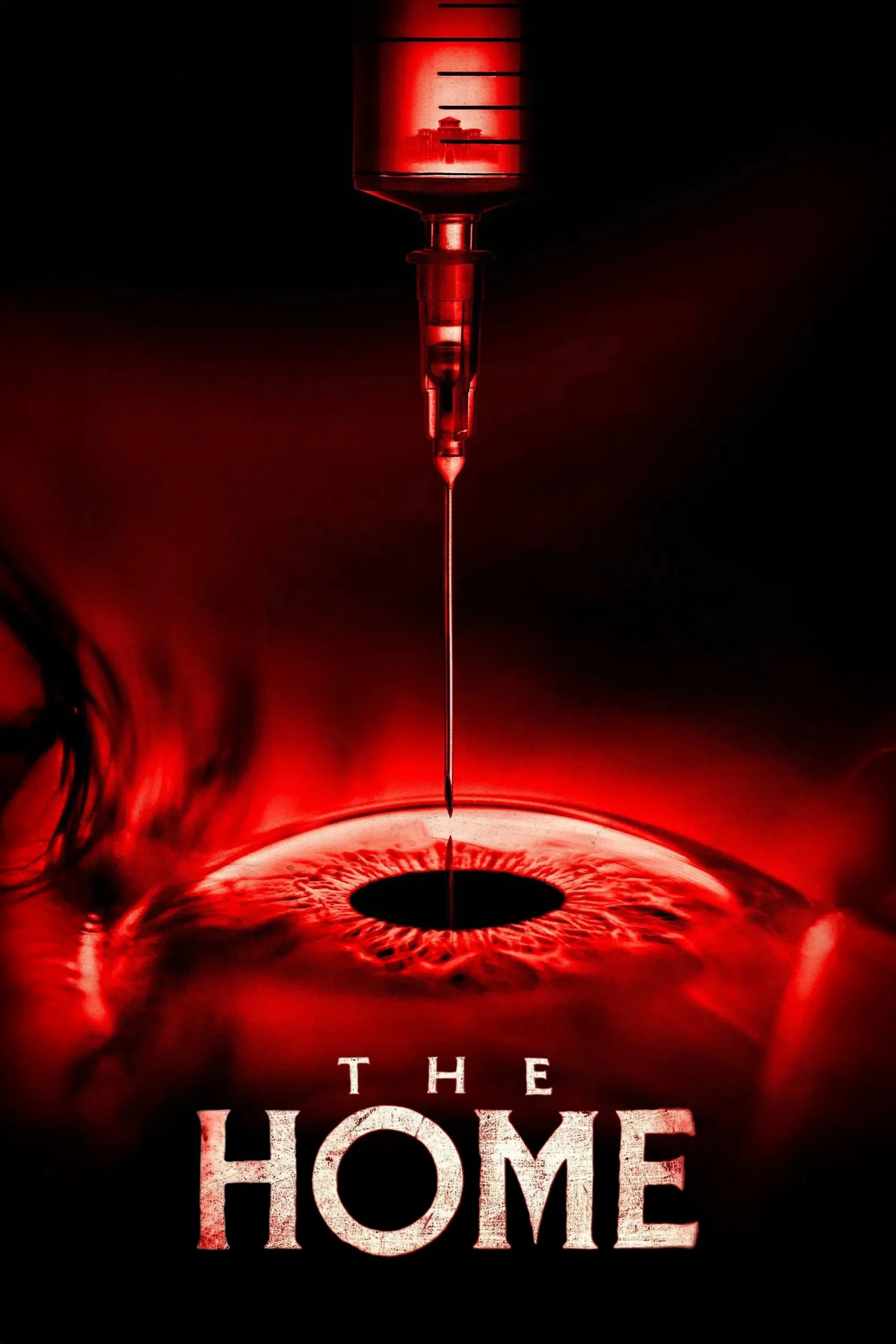The Home ( 2025 )