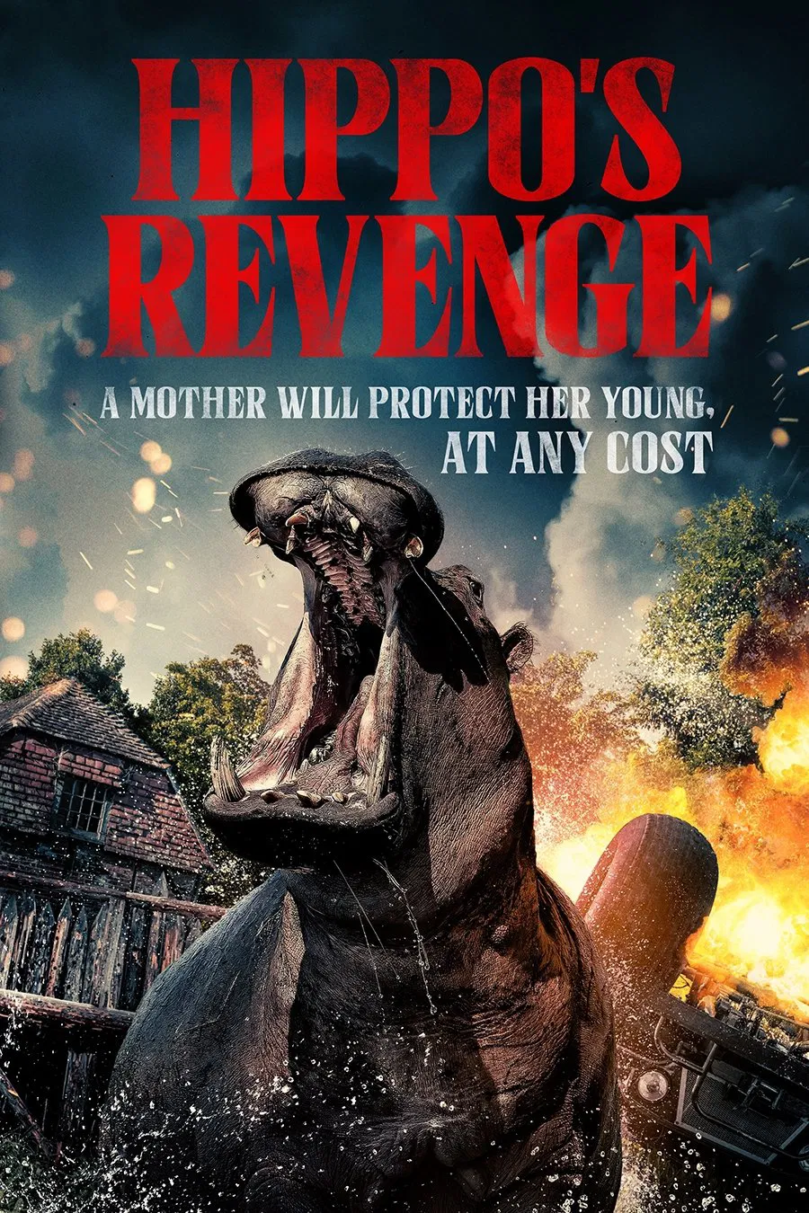 مشاهدة فيلم Hippo's Revenge 2025 اون لاين