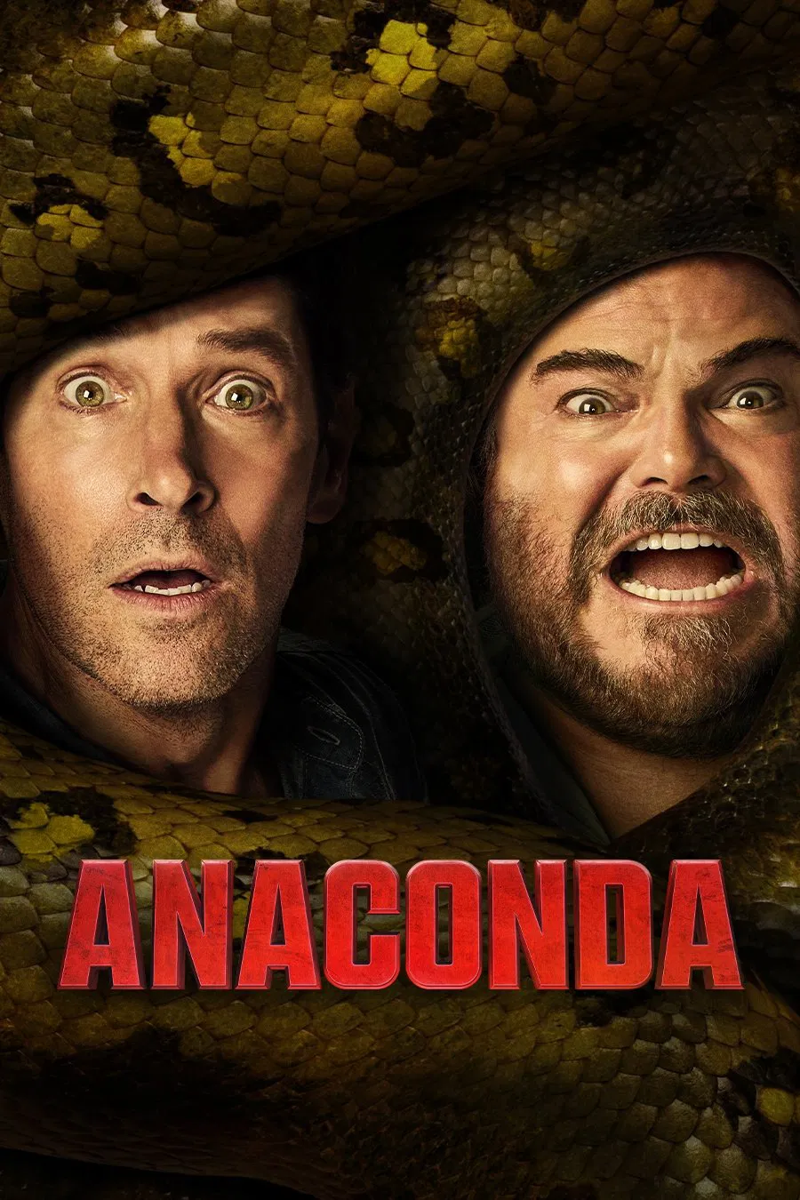 Anaconda ( 2025 )