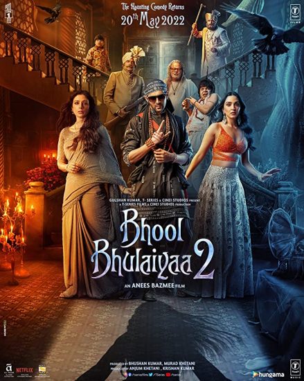 Bhool Bhulaiyaa 2 ( 2022 )