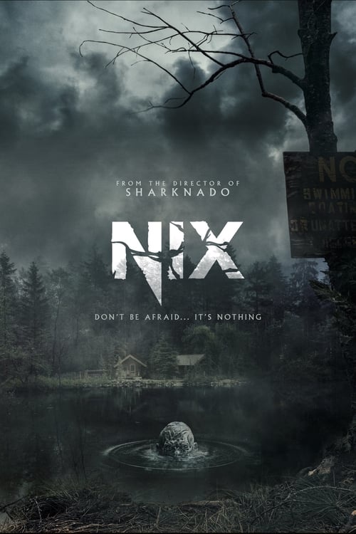 Nix ( 2022 )