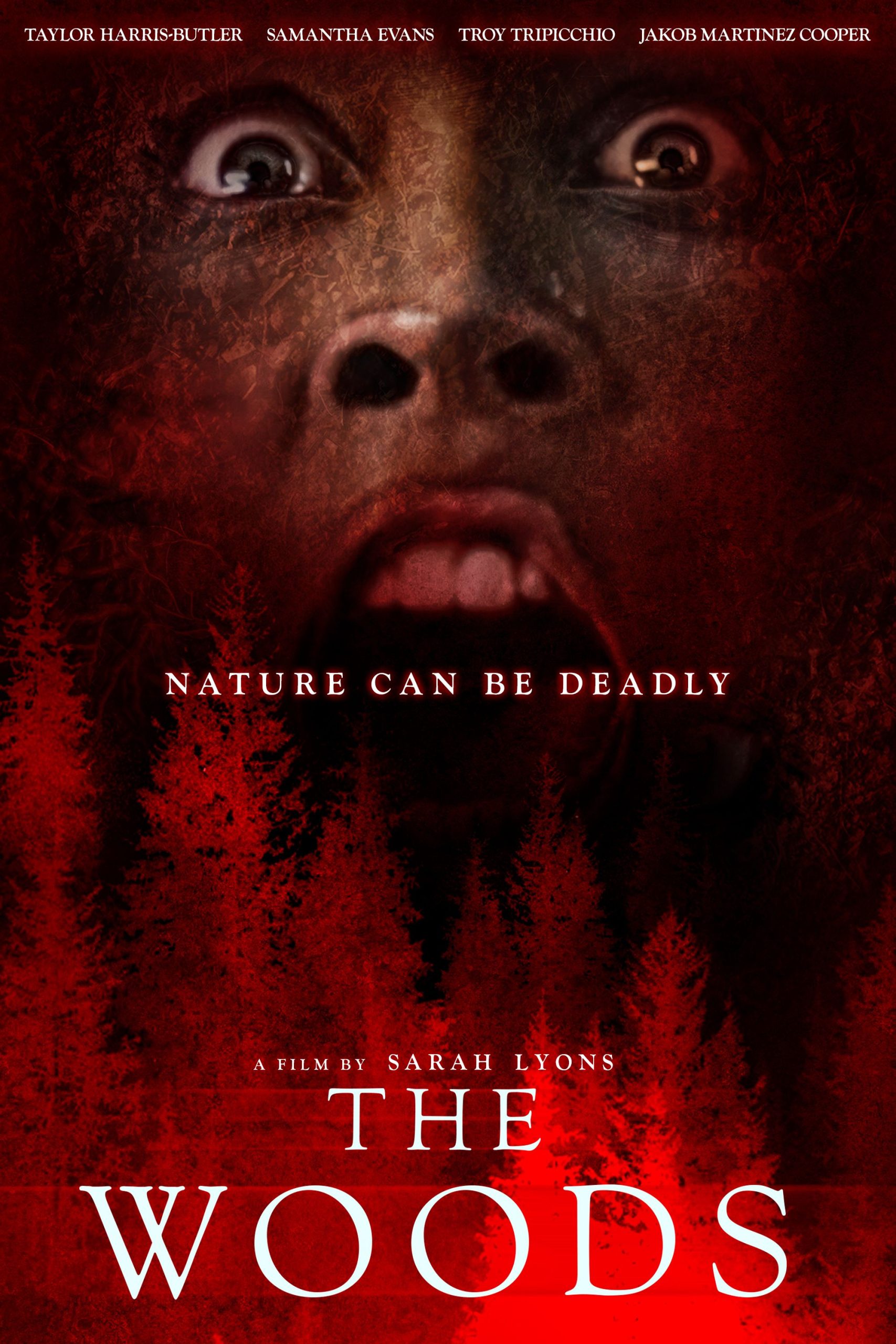 مشاهدة فيلم The Woods 2024 اون لاين