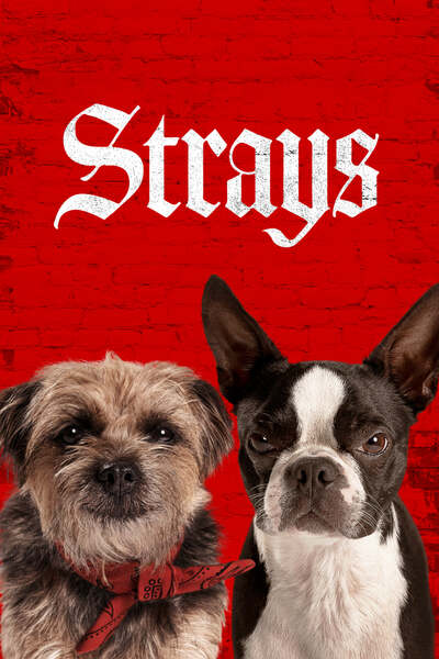 Strays ( 2023 )