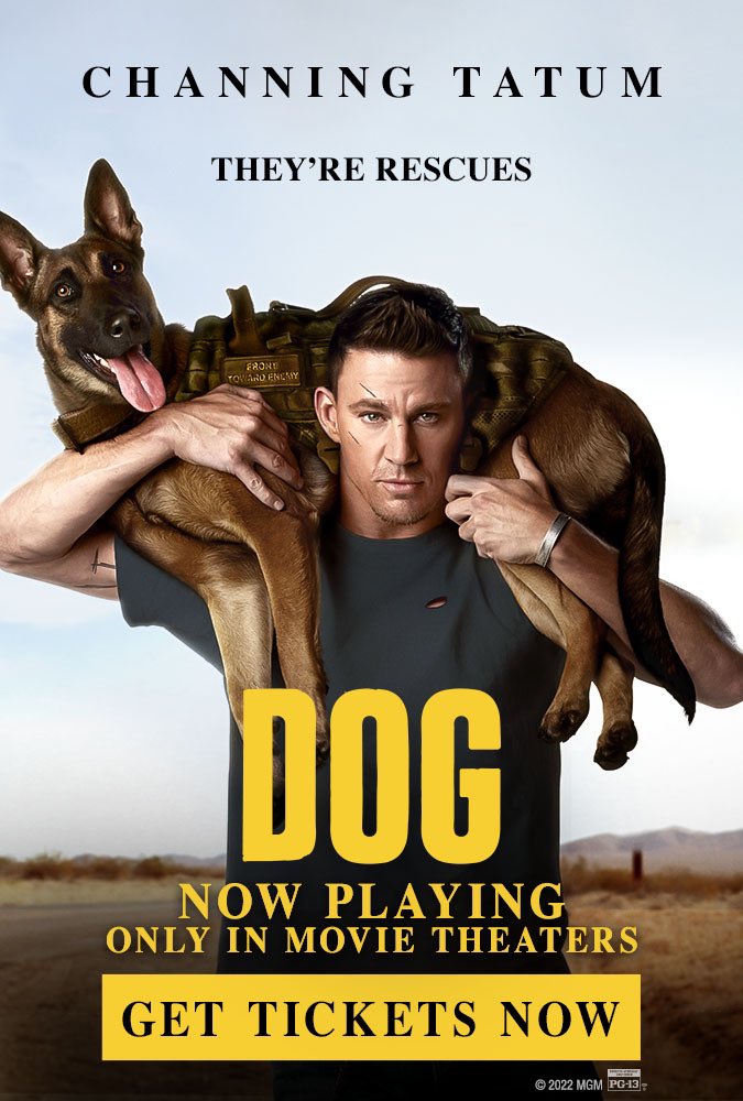 Dog ( 2022 )
