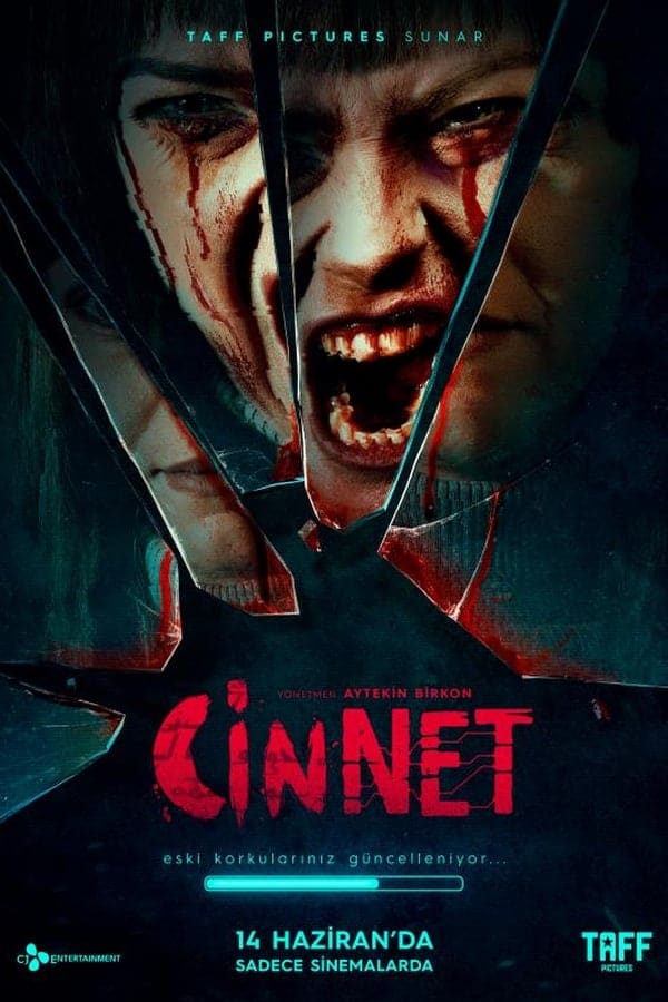 Cinnet ( 2019 )