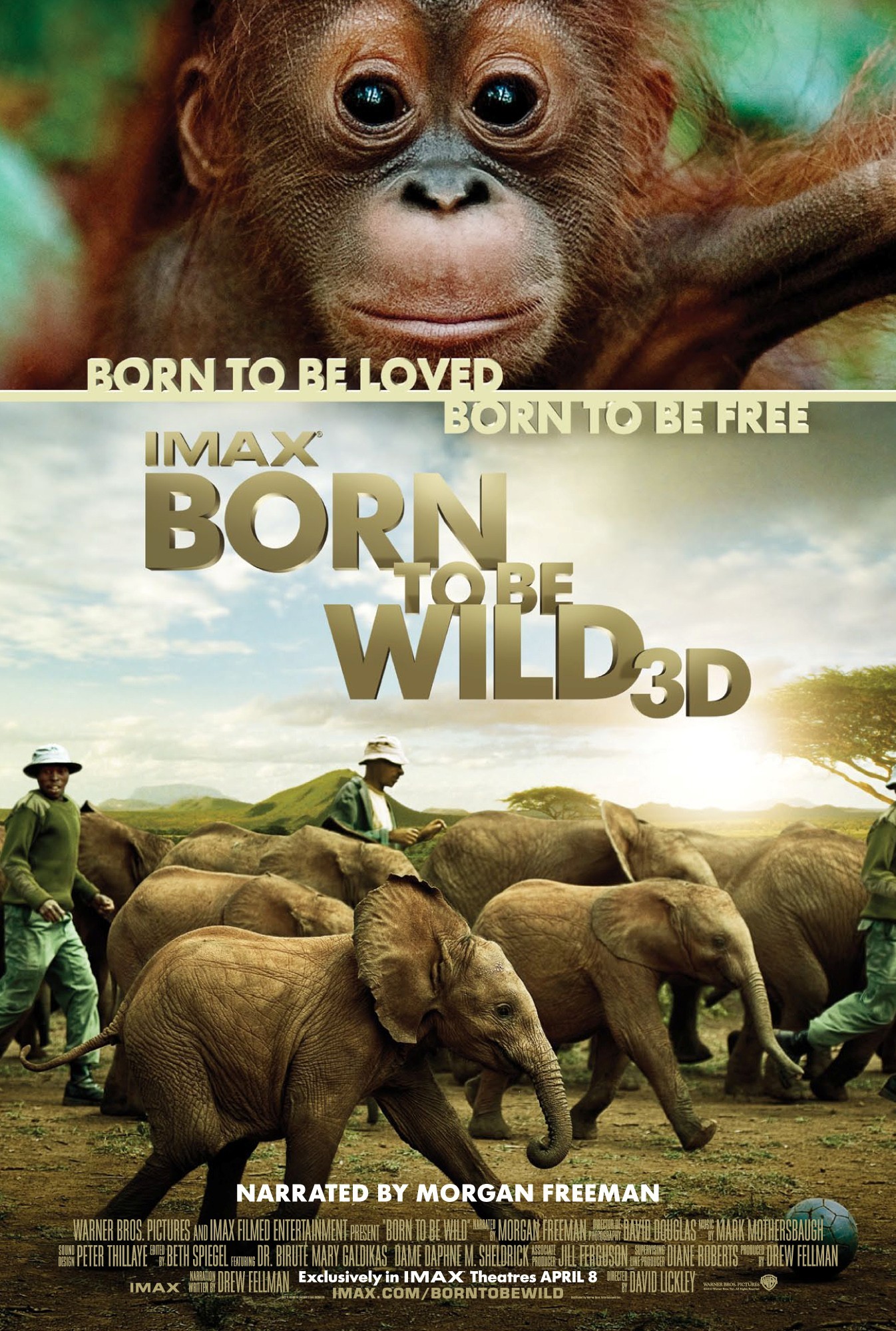 Born to Be Wild ( 2011 )