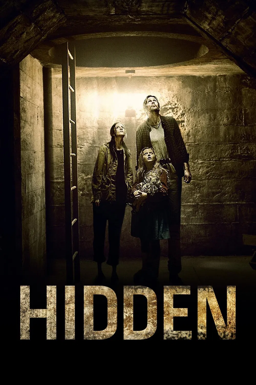 Hidden ( 2015 )