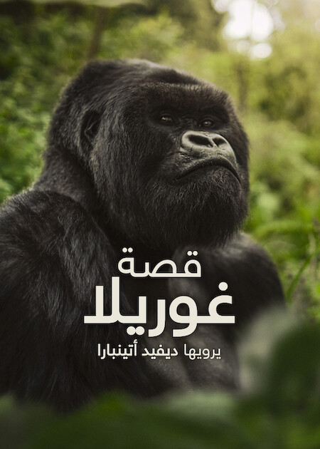 قصة غوريلا: يرويها ديفيد أتينبارا ( 2026 )