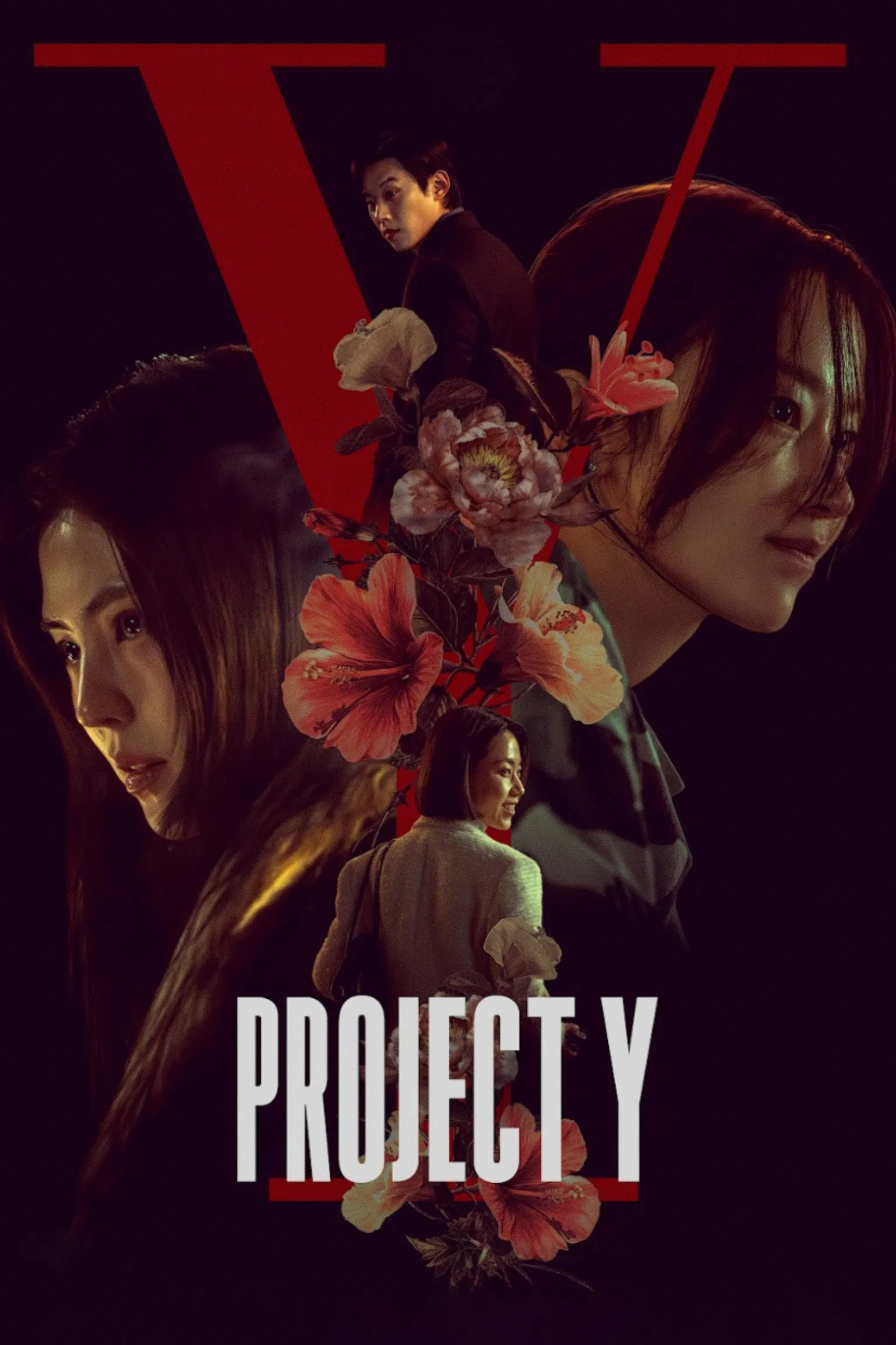 Project Y ( 2026 )